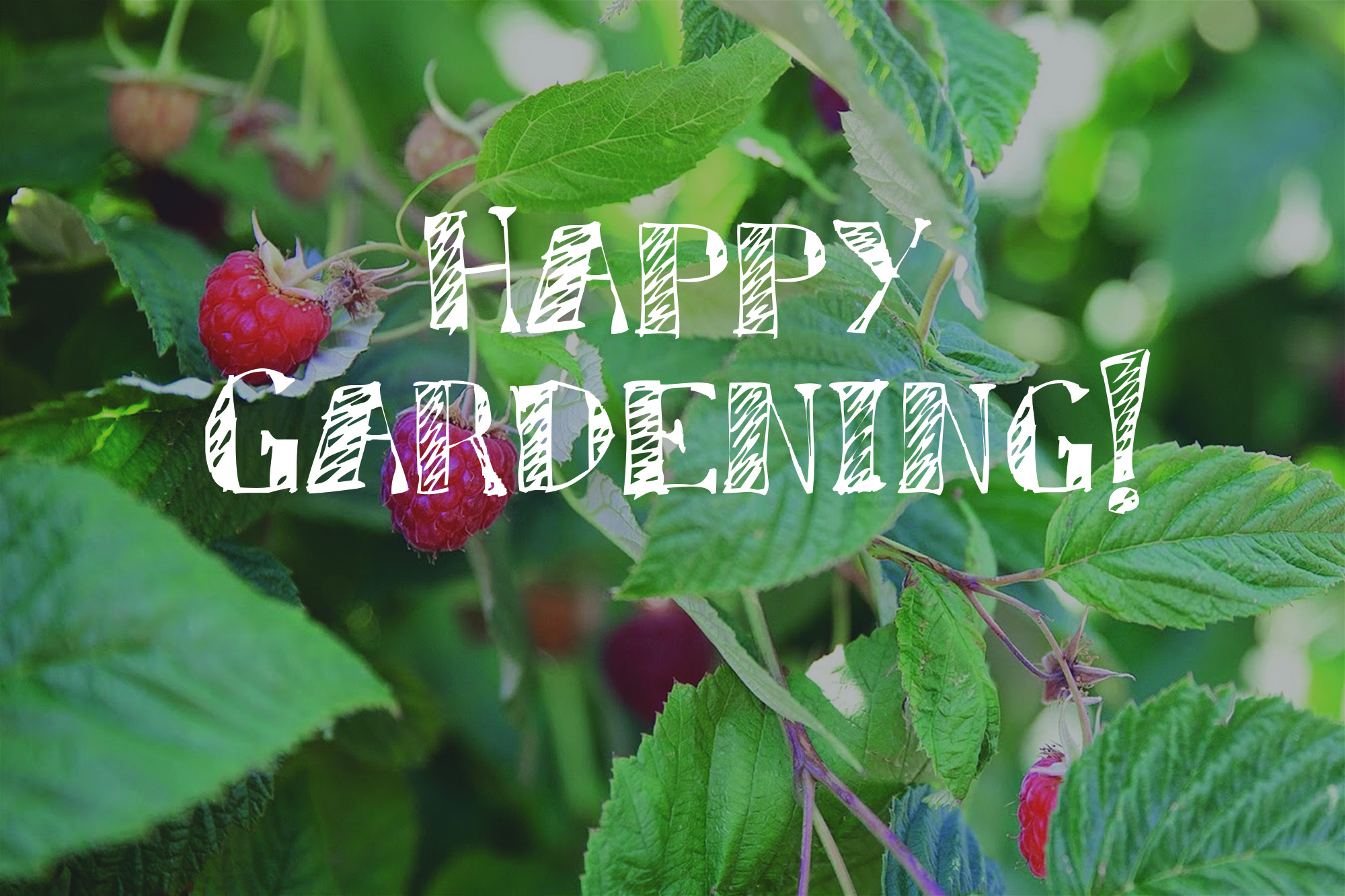 Happy Gardening